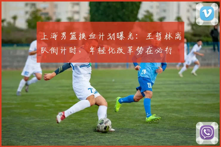 上海男篮换血计划曝光：王哲林离队倒计时，年轻化改革势在必行